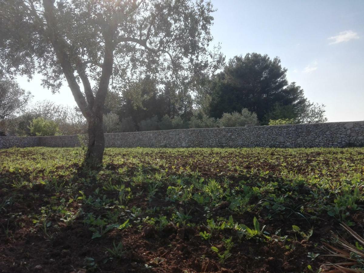 Palacca, Trullo Salentino Andrano Exteriér fotografie